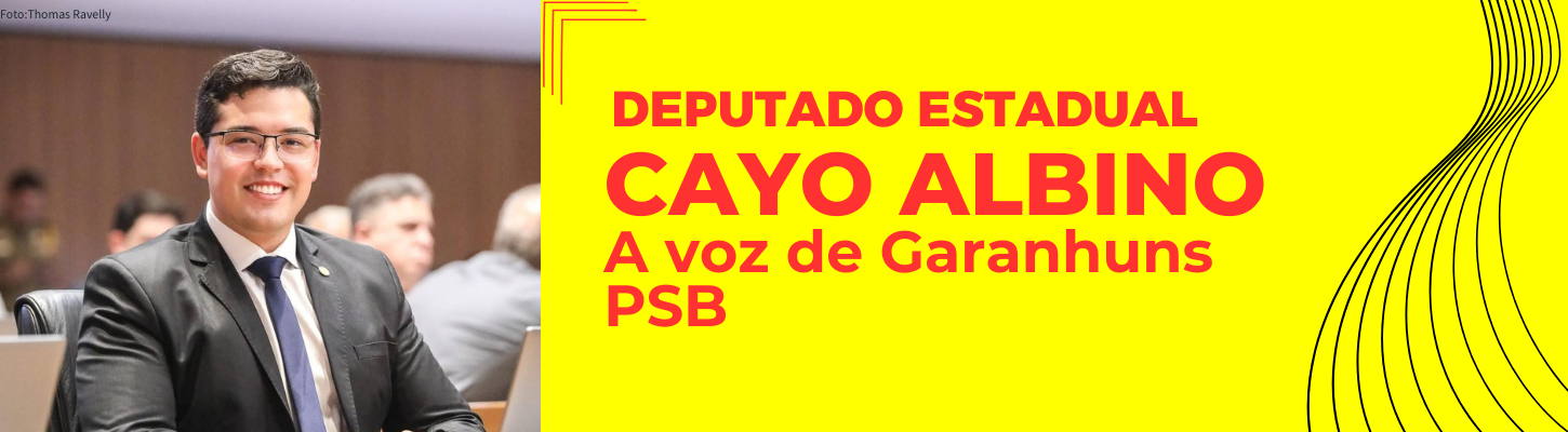 Deputado_Estadual_2
